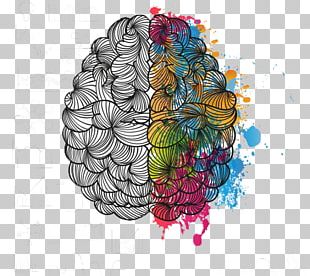 Lateralization Of Brain Function Cerebral Hemisphere Human Brain ...