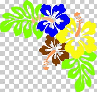 Hawaiian Hibiscus Yellow Hibiscus PNG, Clipart, Aloha, Alyogyne ...