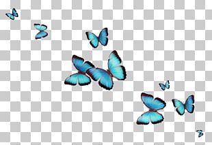 Butterfly Greta Oto Desktop Png, Clipart, Art, Blog, Brush Footed 