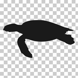 Sea Turtle Silhouette PNG, Clipart, Animal, Animals, Art, Clip Art ...