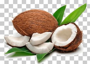 Coconut Water Air Filter Plant PNG, Clipart, Arecales, Autumn Leaves ...