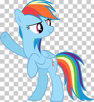 Rainbow Dash Pony Horse PNG
