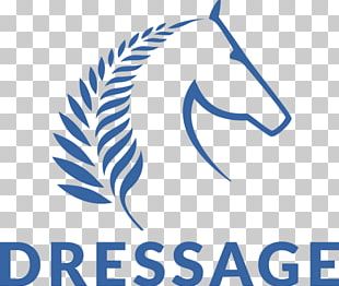 Horse Dressage Equestrian Sports Manfeild Park PNG