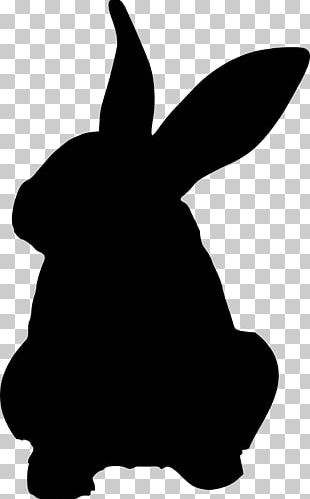 European Rabbit Drawing PNG, Clipart, Animals, Bunnies, Bunny, Cartoon