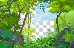 Jungle Euclidean Tropical Rainforest PNG, Clipart, Biome, Branch ...