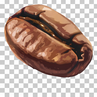 Coffee Bean - Roasted Coffee Bean PNG
