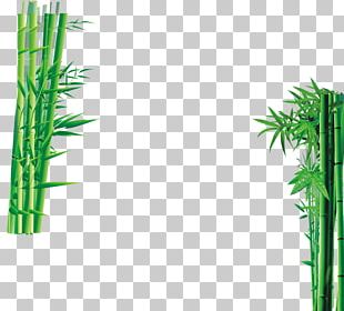 Bamboo Forest Euclidean Stock Photography PNG, Clipart, Angle, Bamboo ...