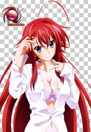 Anime Rias Gremory High School DxD Manga Character PNG, Clipart, Animation,  Anime, Artwork, Black Hair, Blend