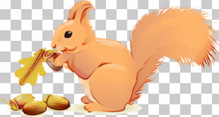 Squirrel Acorns PNG, Clipart, Acorns, Animation, Cartoon, Chipmunk ...