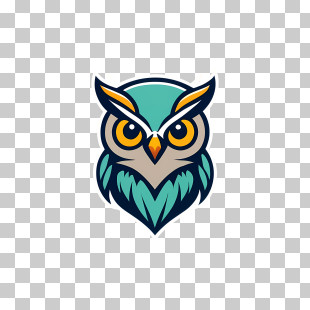 Owl Logo - Colorful Owl Icon Design For Branding PNG