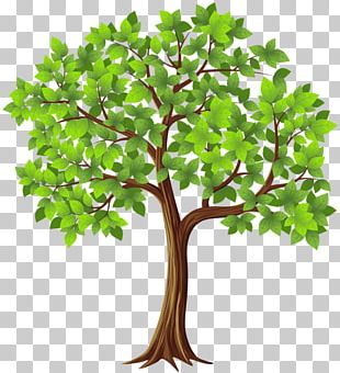 Trunk Tree Branch PNG, Clipart, Arecaceae, Bare Cliparts, Branch, Flower,  Free Content Free PNG Download