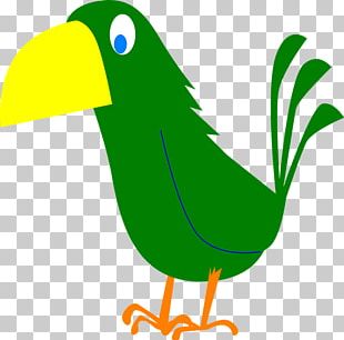 American Crow PNG