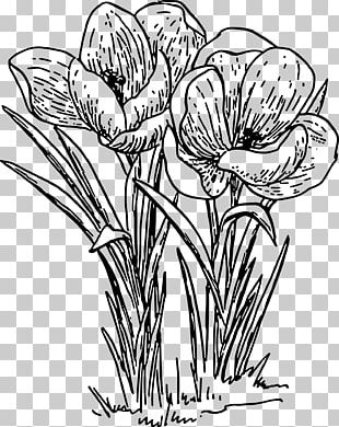 Crocus Cut Flowers Floral Design Plant Stem PNG, Clipart, Artificial ...
