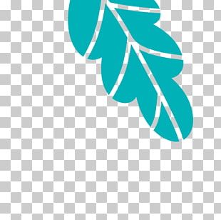 Leaf Branch Forest Tree PNG