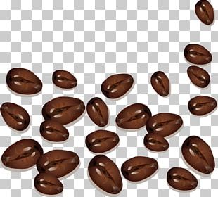 Coffee Bean Cafe Cocoa Bean PNG, Clipart, Adzuki Bean, Arabica Coffee ...