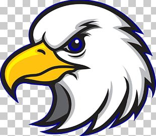 Bald Eagle Logo Black-and-white Hawk-eagle PNG, Clipart, Beak, Bird ...