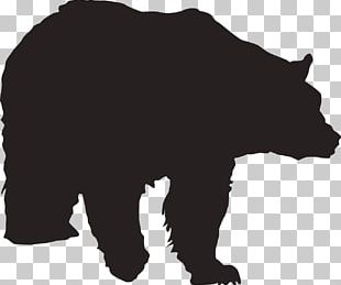 Polar Bear Brown Bear Grizzly Bear PNG, Clipart, Animal, Bear, Big Cats ...