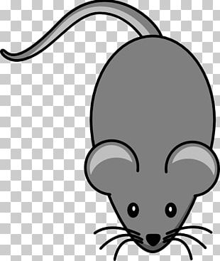 Laboratory Rat Mouse PNG, Clipart, Animals, Carnivoran, Cartoon, Clip ...