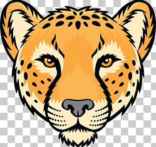 Cheetah Leopard Jaguar Cartoon Drawing PNG, Clipart, Cartoon, Cheetah,  Drawing, Jaguar, Leopard Free PNG Download
