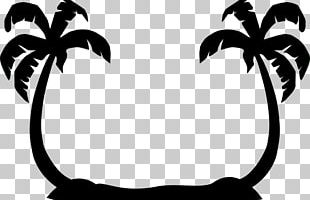 Arecaceae Tree PNG