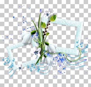 Frame Photography Collage PNG