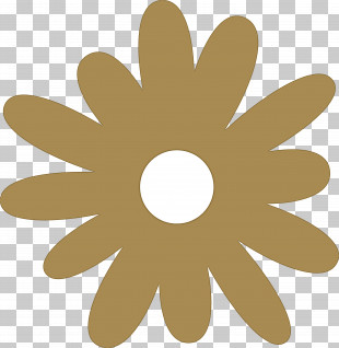 Mexico Elements PNG
