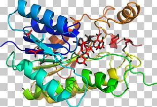Organism Line PNG