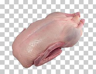 American Pekin Duck Meat Goose Buffalo Wing PNG