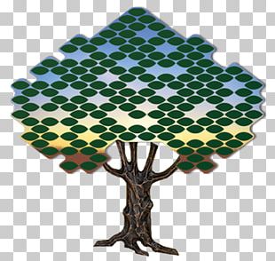 Tree Donor Recognition Wall Donation Leaf Futura PNG
