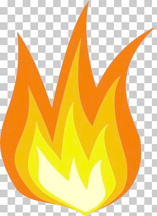 Barbecue Grill Flame Fire PNG