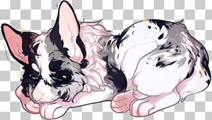 Whiskers Puppy Dog Breed Non-sporting Group Cat PNG