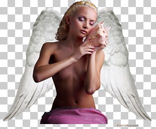 Angel Aile Wing Feather Week PNG