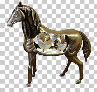Stallion Pony Mustang Mare Saddle PNG