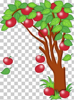 Paradise Apple Tree PNG