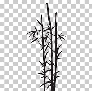 Stencil Wall Bamboo Sketch PNG