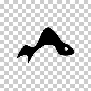 Doctor Fish Aquatic Animal PNG