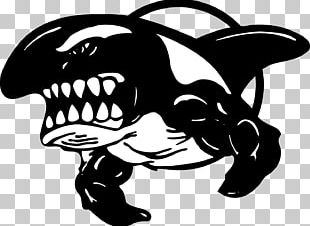 Killer Whale Drawing Logo PNG