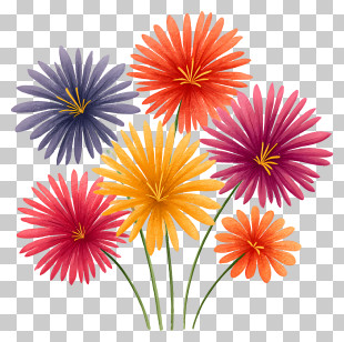 Diwali Fireworks - Vibrant Colorful Flowers PNG
