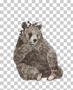 American Black Bear Brown Bear Giant Panda Polar Bear PNG