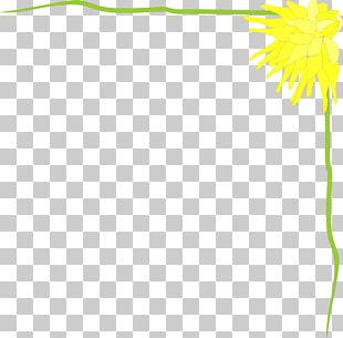 Flower Floral Design Plant Stem Leaf Petal PNG