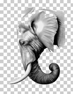 The Elephants Paper Asian Elephant Graphite PNG
