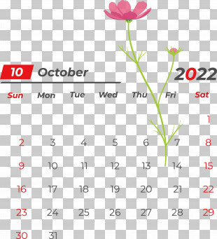Flower Line Font Petal Meter PNG