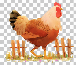 Cute Hen - Majestic Rooster Illustration PNG