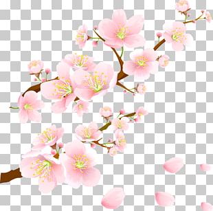 Paper Cherry Blossom Ink PNG, Clipart, Ancient, Art, Blossom, Branch ...