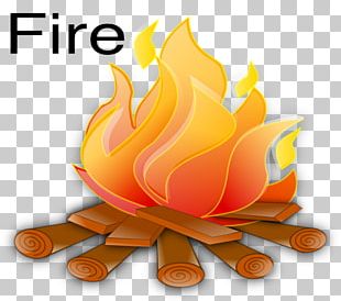 Flame Fire Flower PNG, Clipart, Blooming, Euclidean Vector, Explosion ...