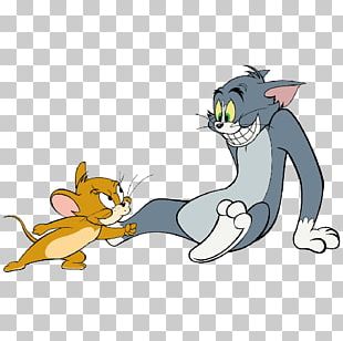 Tom Cat Amazon.com Tom And Jerry Spotlight Collection DVD PNG, Clipart ...