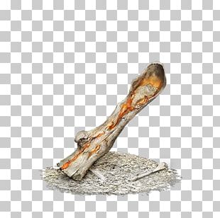 Dark Souls III Demon's Souls Bloodborne Bone PNG