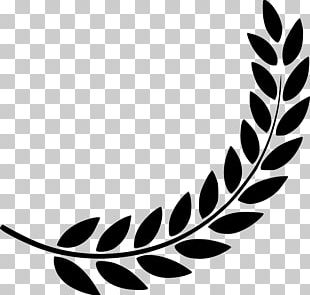 Laurel Wreath Computer Icons PNG, Clipart, Bay Laurel, Bonnie Kelly ...