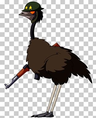 Emu Bird PNG Images, Emu Bird Clipart Free Download