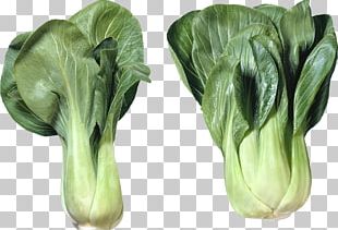 Chinese Cuisine Bok Choy Capitata Group Chinese Cabbage Salad PNG